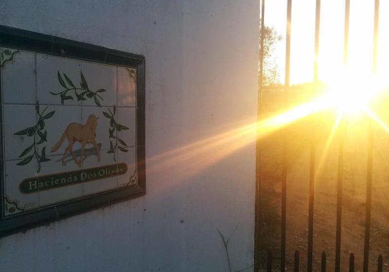 Hacienda Dos Olivos
