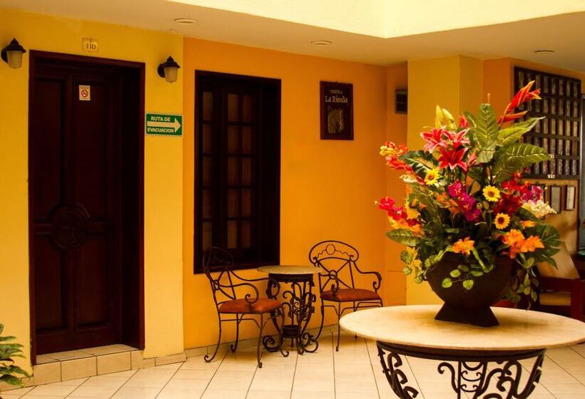 هتل Plaza Jardin