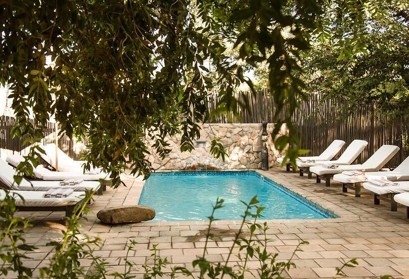 هتل Simbavati River Lodge