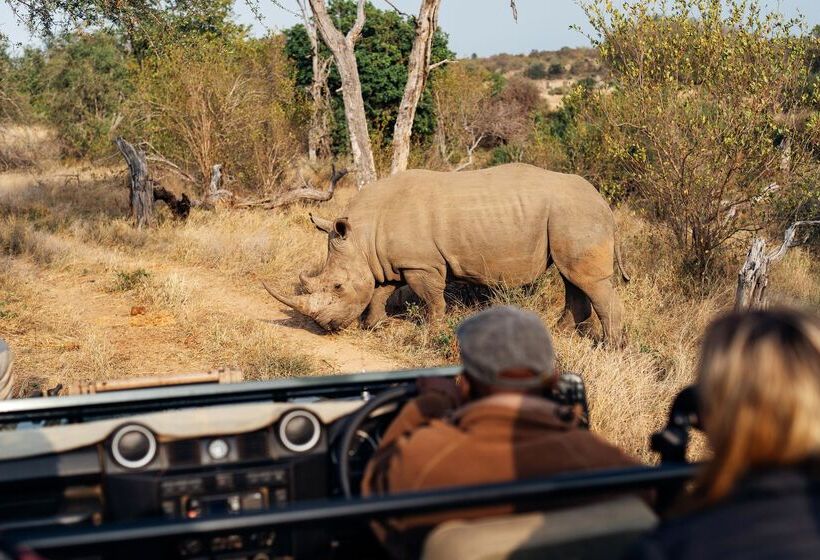 هتل Simbavati River Lodge