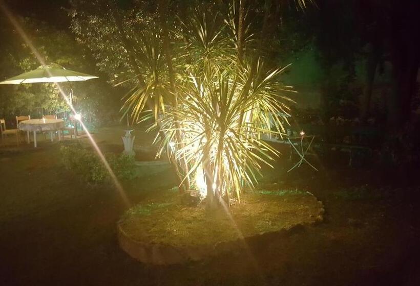 پانسیون Royal Suite