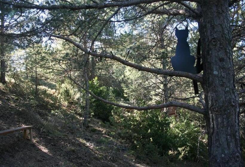 פונדק Casa Francho