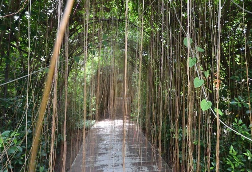 هتل Phuket Botanic Resort