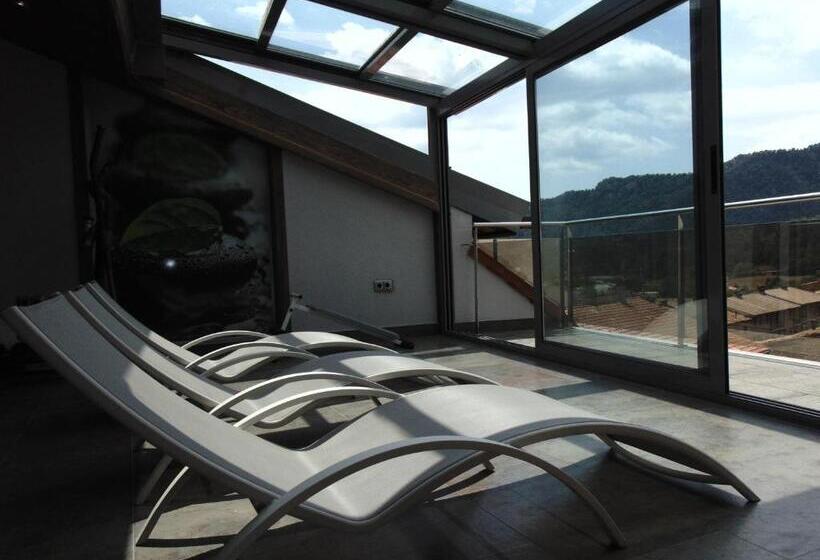 호스텔 Hostal Piteus