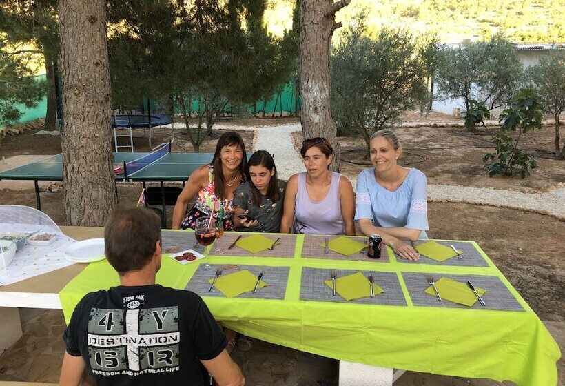 צימר Alegría
