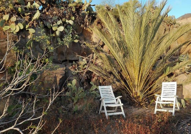 Finca Patio Canario