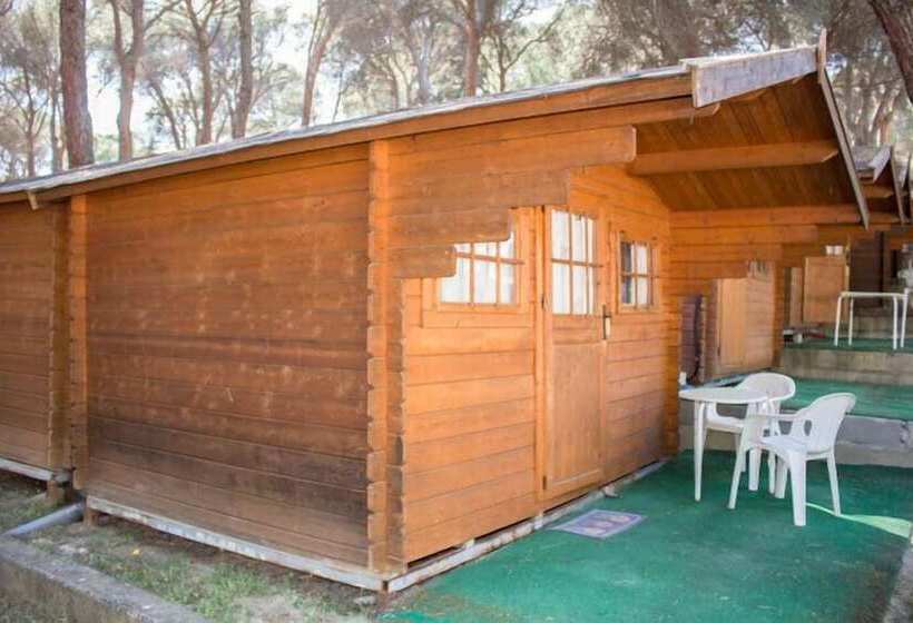 Отель Camping La Ardilla Roja