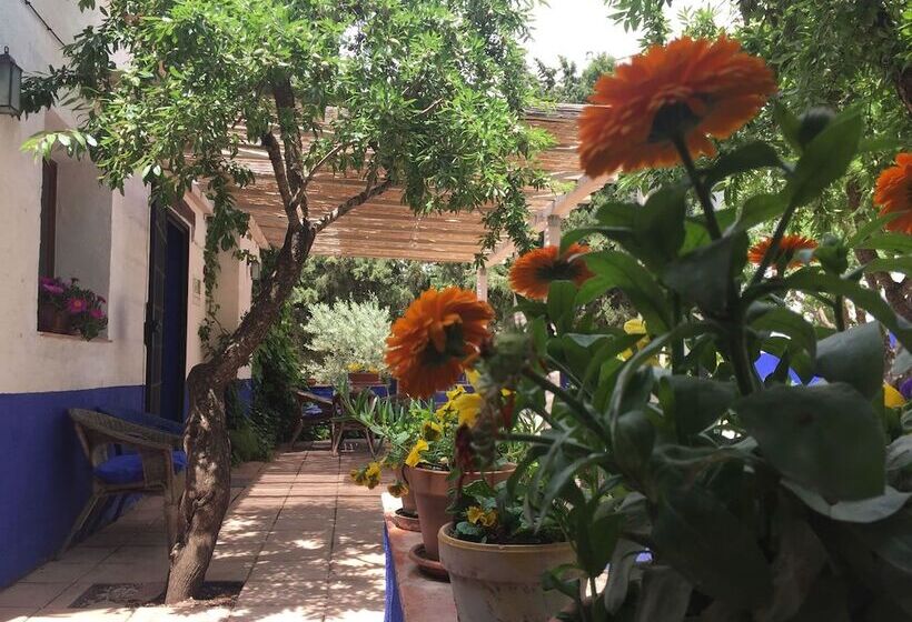 ペンション Finca El Huerto De Dulcinea