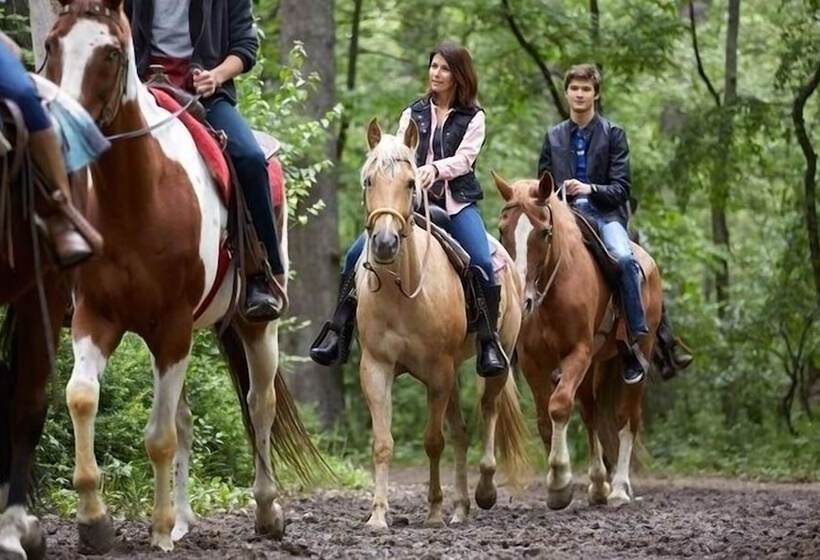 هتل A Cantaruxa Maruxa Turismo Rural