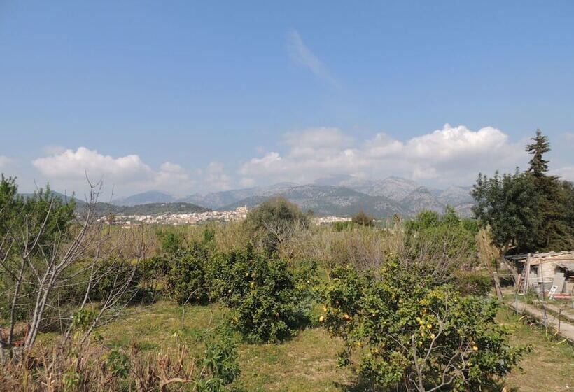 Villa Es Canya