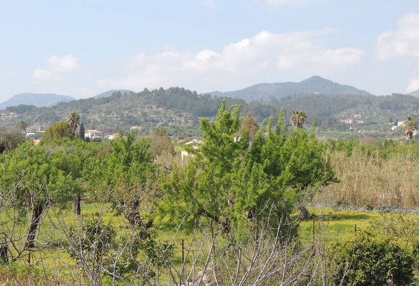 Villa Es Canya