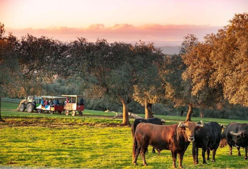 בית מלון כפרי Finca El Cotillo