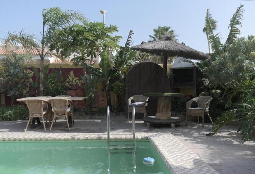 Los Amigos Nest Hostel