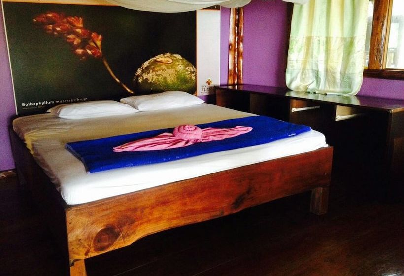 酒店 Koh Jum Freedom Resort