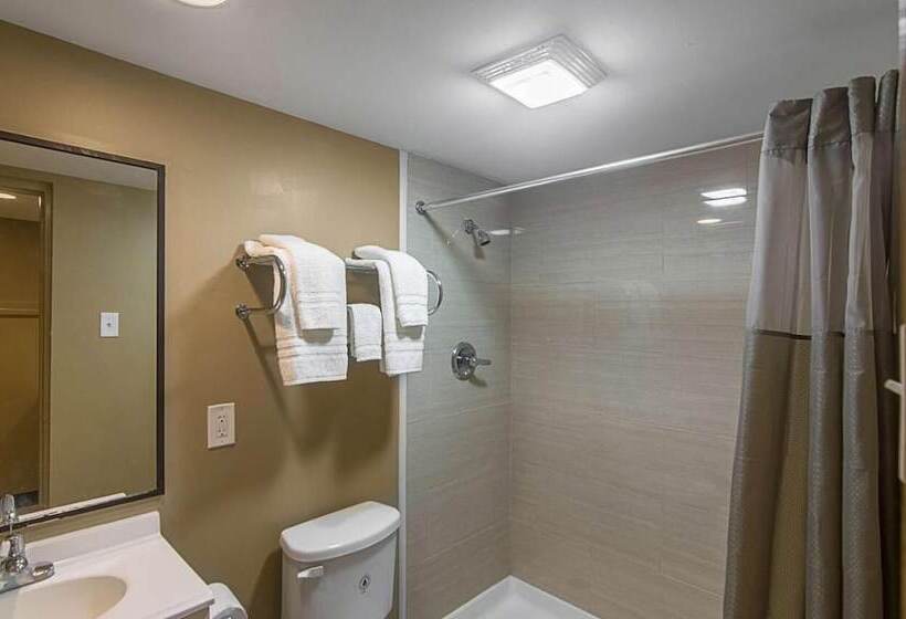 هتل Lonestar Inn And Suites