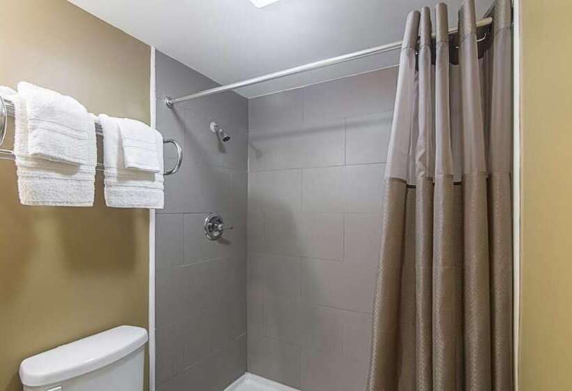 هتل Lonestar Inn And Suites