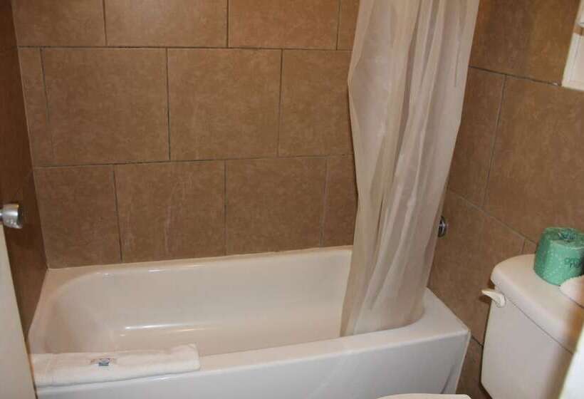 هتل Lonestar Inn And Suites