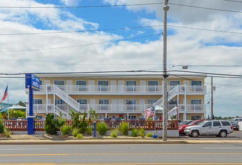 Sea Horse Motel