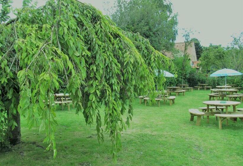 فندق فئة نجمة واحدة The Three Horseshoes