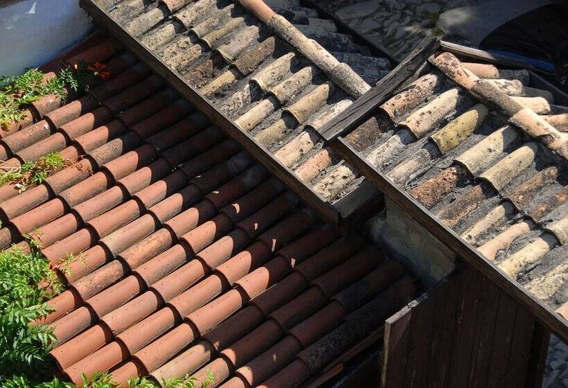 فندق Mehves Hanim Konagi