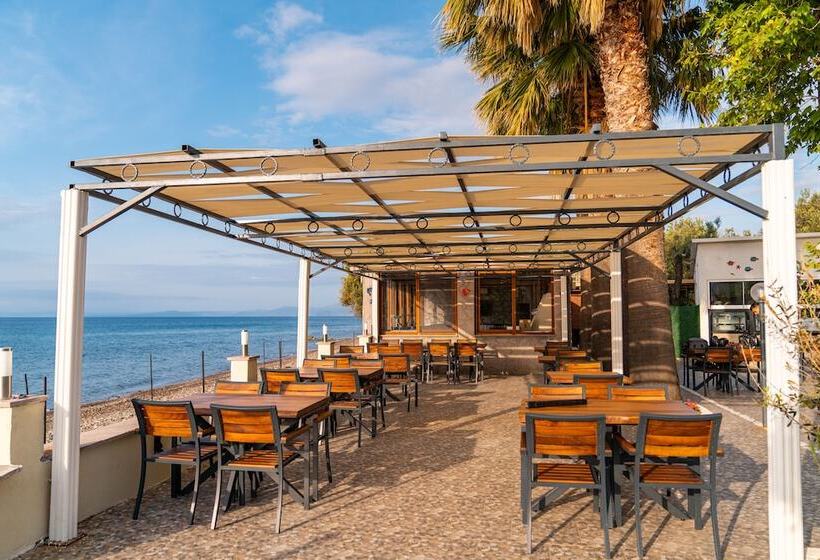 هتل Assos Kayalar Blue Beach