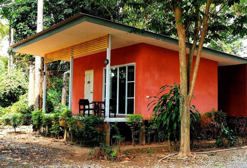 هتل Baan Tonmai Resort