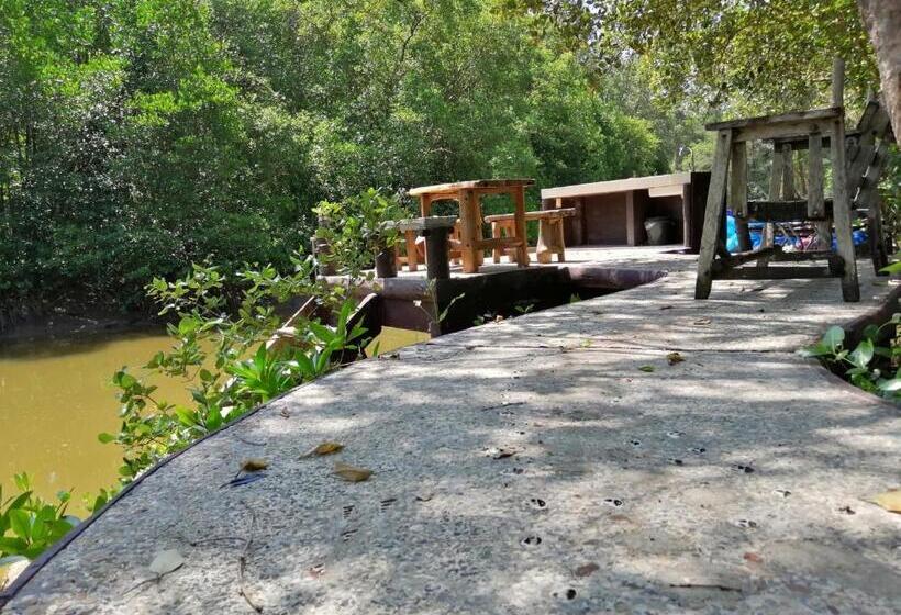 هتل Fisherman S Hut , ขนำชาวเลโฮมสเตย์