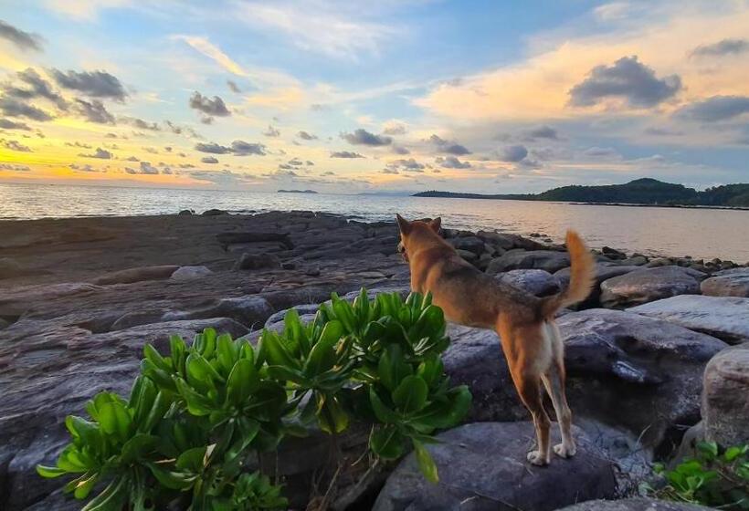 هتل Kinnaree Resort Koh Kood