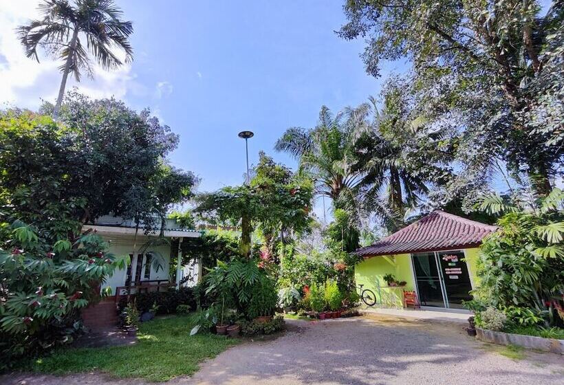 هتل Saneha Resort
