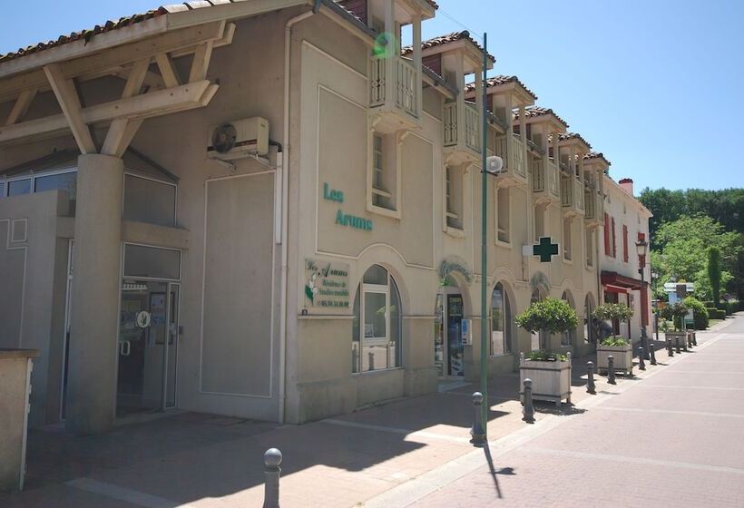 Les Arums