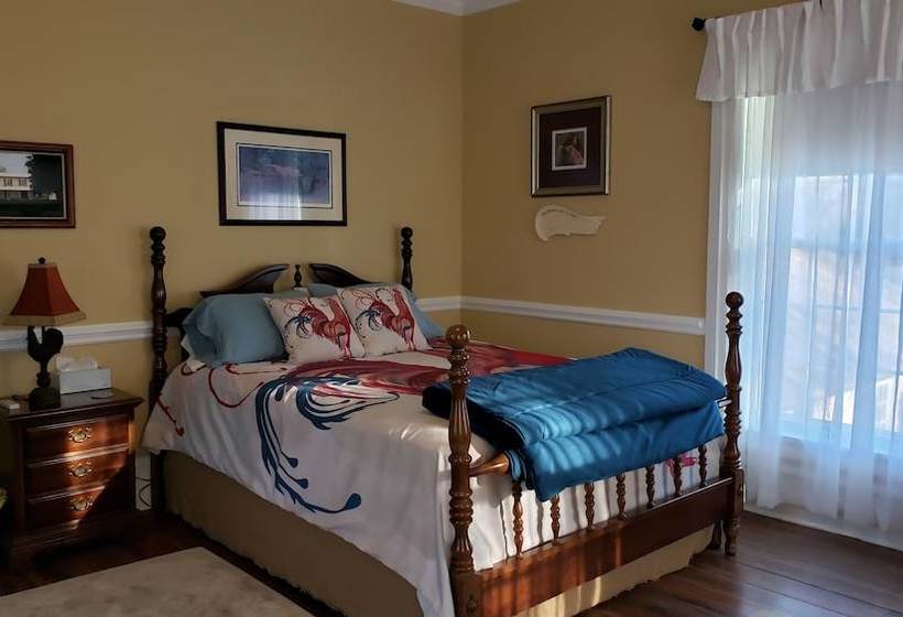 Silly Chickens Lodge B&b