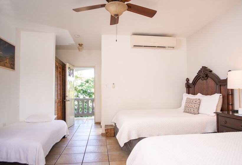 هتل Lazy Parrot Inn