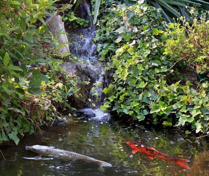 تختخواب و صبحانه La Villa Des Sens