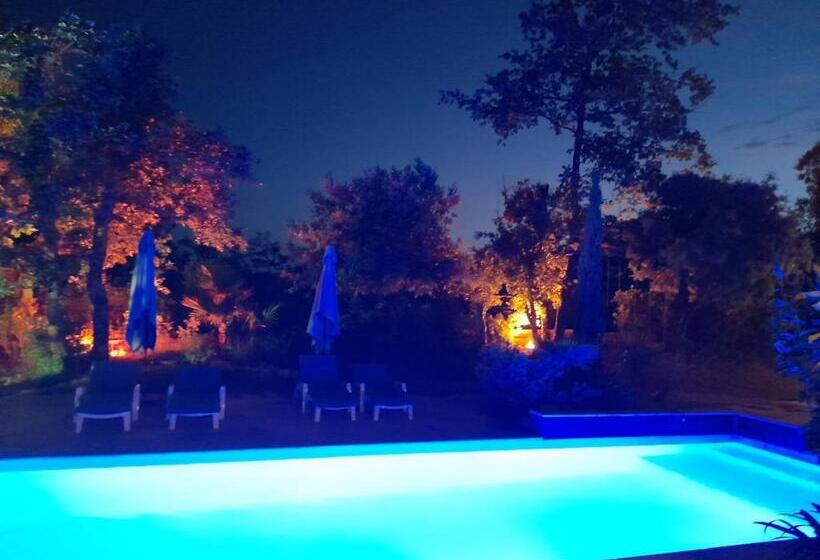 تختخواب و صبحانه La Villa Provençale