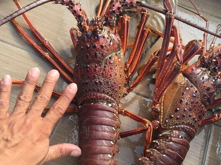 تختخواب و صبحانه Ou Hai You Travel