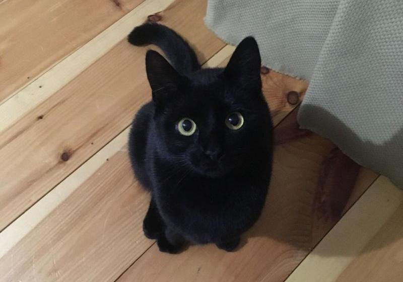 مبيت وإفطار The Nightfall Inn