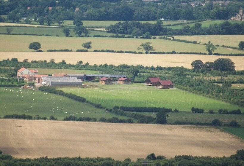 Blackthorn Gate