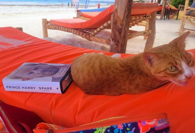 هتل Sipano Beach Lodge Kiwengwa