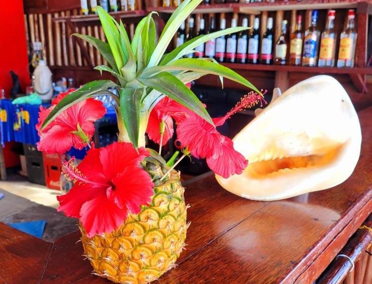 هتل Sipano Beach Lodge Kiwengwa