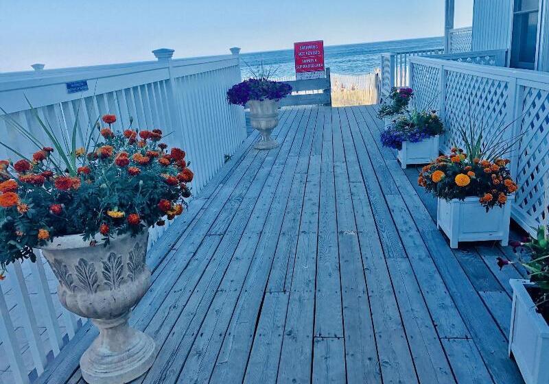 فندق على الطريق Ocean Surf Resort