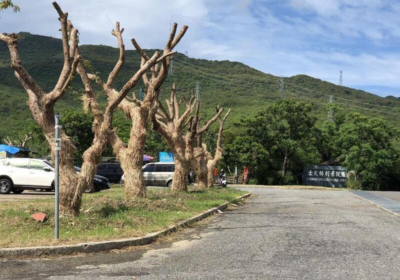 پانسیون Zozola