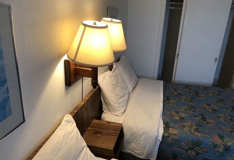Rose Motel