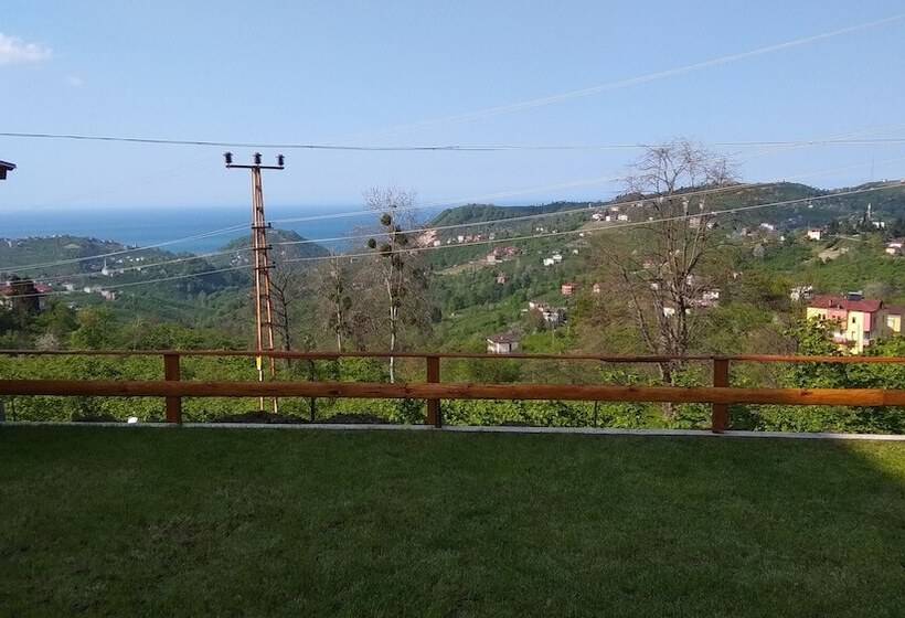 Akulnet 1