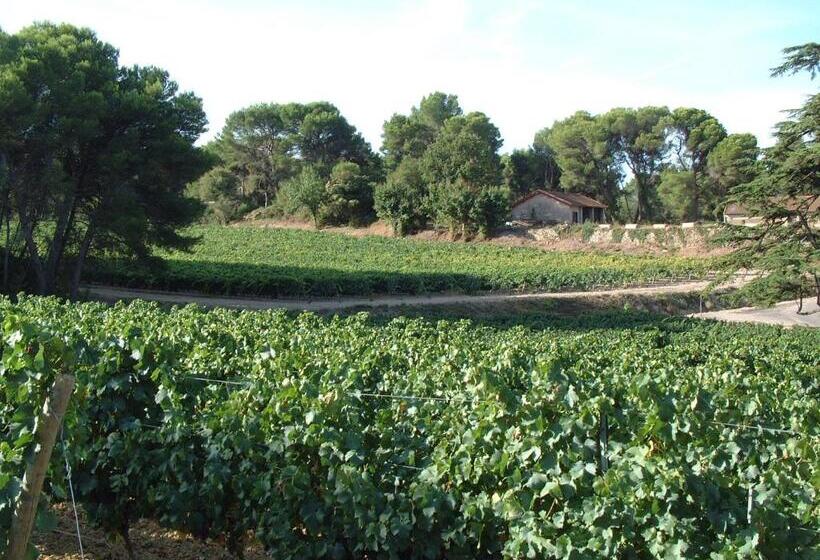 Château Saint Martin De Graves
