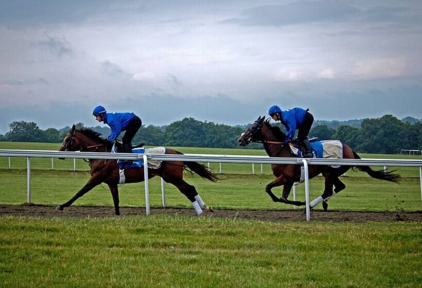 هتل The Jockey Club Rooms