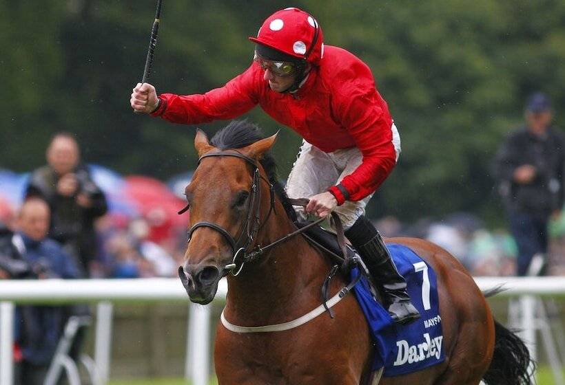 هتل The Jockey Club Rooms