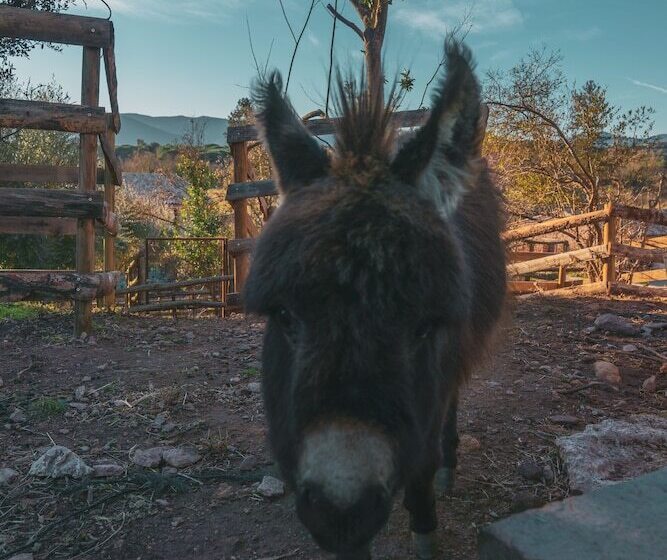 펜션 Chateau Saint Roux Le Lucle Cannet Des Maures