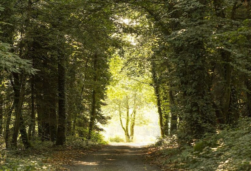 بنسيون Château Du Grand Val