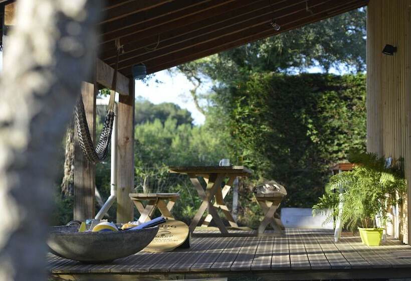 ペンション Ocean Shelter