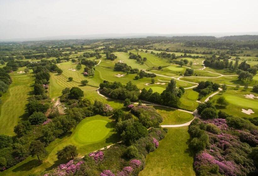 Dorset Resort